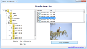 home nas recovery software