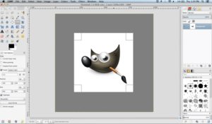 GIMP is a powerful image editor